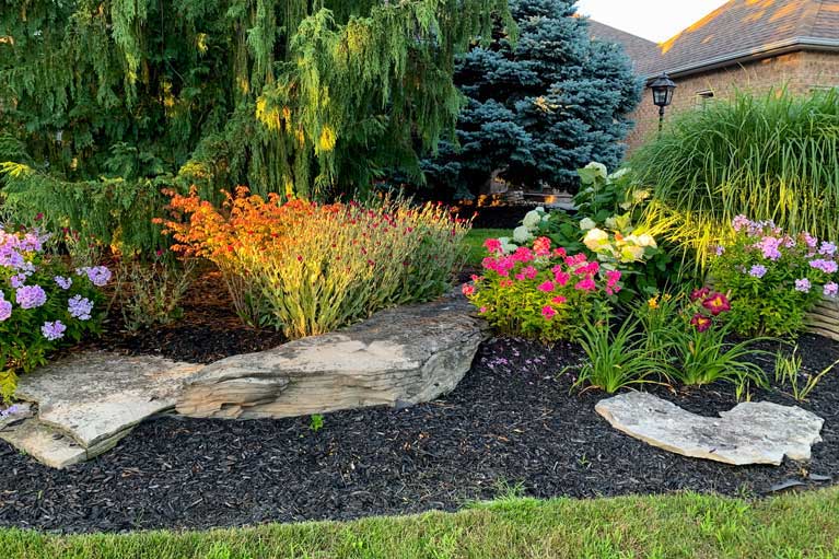 Colourful garden landscaping with a variety of flowers in bloom